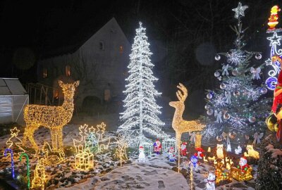 Zehn Wochen Aufbauzeit: Weihnachtshaus in Kuhschnappel leuchtet wieder - "Alle Jahre wieder" bei dem 21-jährigen Piet Ahnert im Garten. Foto: Andreas Kretschel