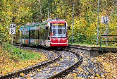 Zeitweise Sperrung der Bahnstrecke zwischen Chemnitz und Aue - Ein Baum sorgte für eine zeitweise Sperrung der Bahnstrecke zwischen Chemnitz und Aue. Foto: Niko Mutschmann
