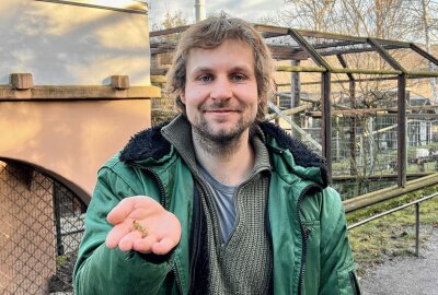 Zoo der Minis: Ein Krallenaffe mit Familiensinn - Mit Insekten kann Zootierpfleger Peter Hömke den Weißbüschelaffen immer eine Freude machen - für die Tiere sind es Leckerbissen. Foto: Ralf Wendland