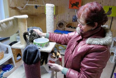 Zschopauer Tierschutzverein hofft auf Unterstützung - Fast täglich schaut Christine Grzelka in der Tierschutzstation vorbei, um sich um die Bewohner zu kümmern. Foto: Andreas Bauer