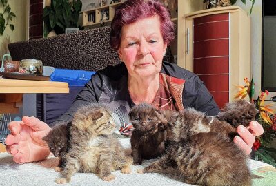 Zschopauer Tierschutzverein hofft auf Unterstützung - Einige kuschlige Mitbewohner nimmt Christine Grzelka sogar bei sich zuhause auf. Foto: Andreas Bauer