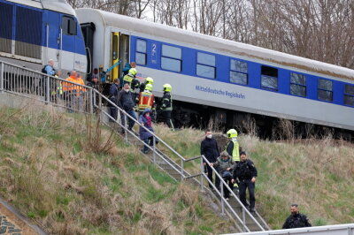 Die Passagiere wurden aus dem Zug evakuiert und durften den Weg zum Hauptbahnhof zu Fuß antreten. Foto: Harry Härtel