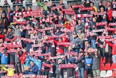 Zwickau im achten Spiel in Folge ohne Niederlage - Die Fans FSV Zwickau unterstützen ihren Verein bei dem Heimspiel. Foto: PICTURE POINT/Gabor Krieg