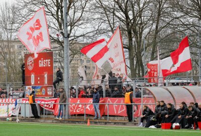 Zwickau zieht ins Sachsenpokal-Halbfinale ein! - Zwickauer Fans. Foto: Harry Härtel