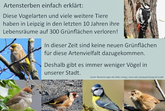 Zwitschern in der Messestadt bald keine Singvogel mehr? - Einheimische Vögel verlieren in Leipzig ihre Heimat. Foto: Anke Brod