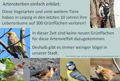 Zwitschern in der Messestadt bald keine Singvogel mehr? - Einheimische Vögel verlieren in Leipzig ihre Heimat. Foto: Anke Brod