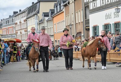 Zwönitz feiert zwei Feste mit einmal - Der Festumzug zählte zu den Höhepunkten beim 30. Erzgebirgischen Pferdetag & Zwönitzer Erntedankfest. Foto: Ralf Wendland