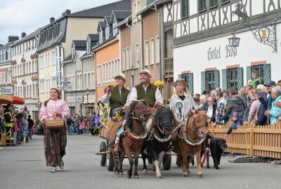 Zwönitz feiert zwei Feste mit einmal - Der Festumzug zählte zu den Höhepunkten beim 30. Erzgebirgischen Pferdetag & Zwönitzer Erntedankfest. Foto: Ralf Wendland
